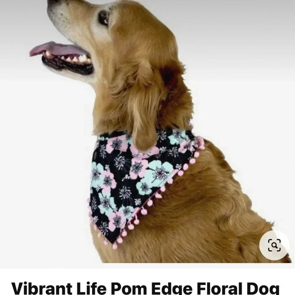 TRIO THREE PIECES BUNDLE IN XS - Picture 4 of 7